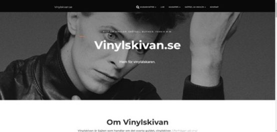 vinylskivan.se